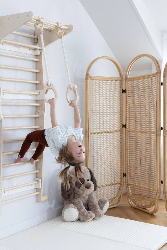 Exercise rings  for Swedish Wall Climber