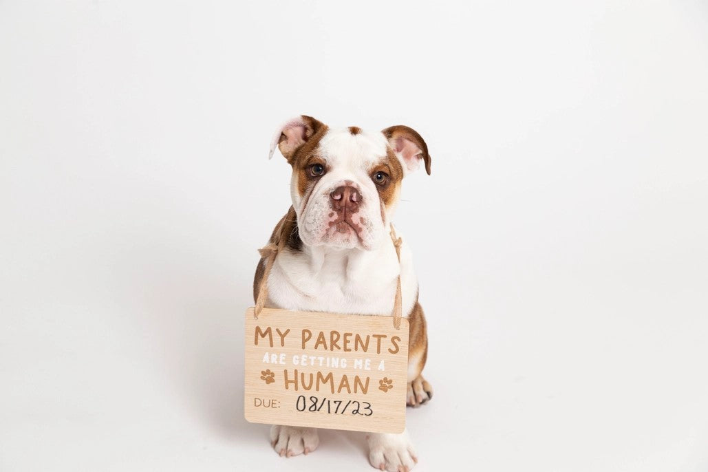 Wooden Pet Pregnancy Announcement Sign