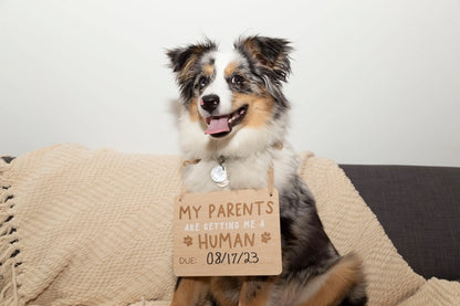 Wooden Pet Pregnancy Announcement Sign