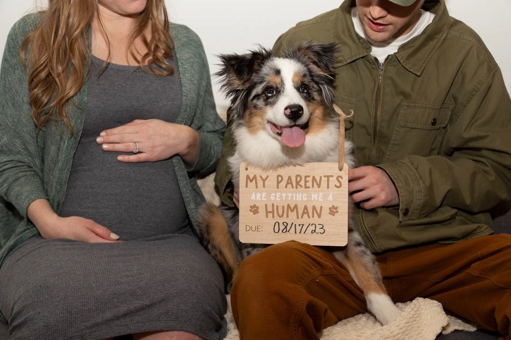 Wooden Pet Pregnancy Announcement Sign