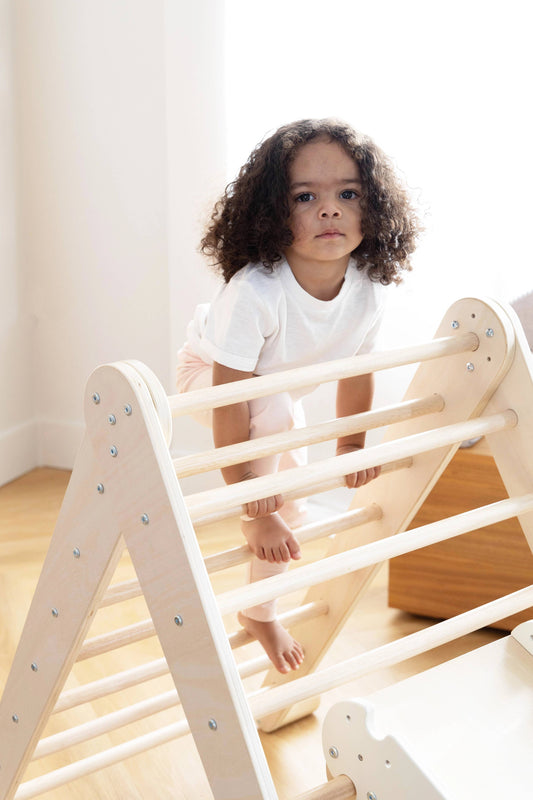 Montessori 2-in-1 Triangle & Wall Climber